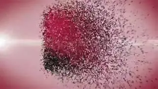Free after effects templates - Videohive Calm Logo Reveal