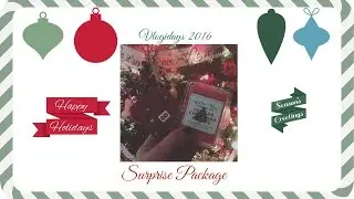 Vlogidays 2016: Surprise Package