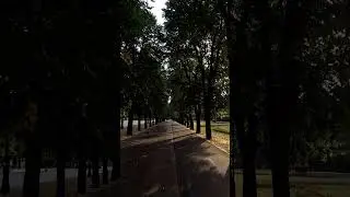 Ленина, утром.