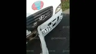 В Сочи рейсовый автобус с пассажирами скатился с дороги в кювет в селе Раздольном