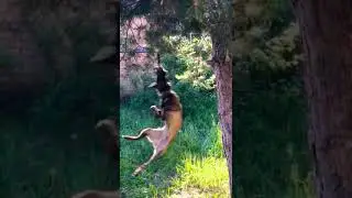 Наш выпускник из Казани😁 малинуа