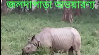 Jaldapara National Park # Salkumar Gate #