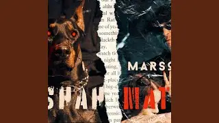 Shah Mat