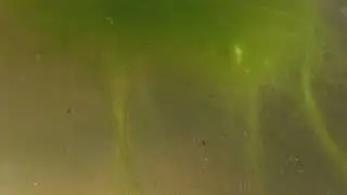 Flow With Water Cover Video