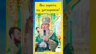 Митрополит Онуфрій #проповідь