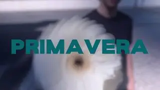 Vidas - Primavera (Official Music Video)