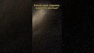 Этот знак зодиака живет по Волчьи 