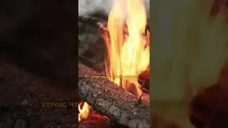 Девушка в ЗИМНЕМ ПОХОДЕ | Ночевка в ПАЛАТКЕ В ЗИМНЕМ ЛЕСУ