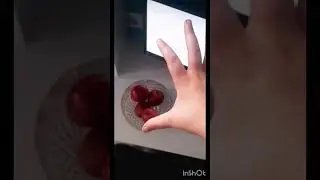 петля времени