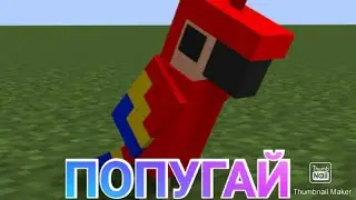 13 минут ПОПУГАЙ БОРСУК МЫШ КРЫСА БУРУНДУК