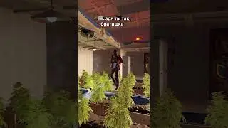 ЗАРЕЙДИЛ КЛАНОВУЮ ФЕРМУ В РАСТ #rust #cоло #раст #выживаниераст