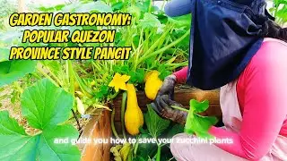Ep. 11: How I am defeating Squash Vine Borer + Delicious Garden Noodle Recipe! 🤤 #sofarmsogood