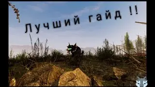 ЛУЧШИЙ ГАЙД 😱ВЫРАЩИВАЙ ДРАКОНА С 0 ( Day of Dragons )😱 ГАЙДЫ Day of Dragons 😱