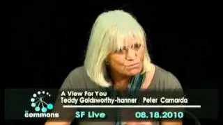 Part 1 of 3: Art of Teddy Goldsworthy-hanner--  Peter Camarda.