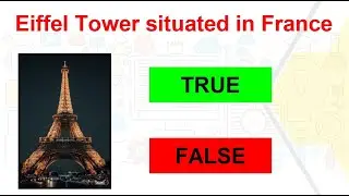 Get ready for true or false quiz Lets start | True or False Quiz # 1