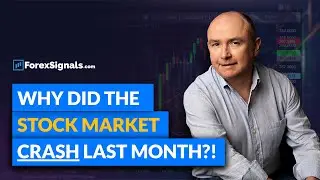 The 2018 Stock Market Crash: What caused it, and how should you invest?!