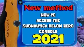 How to access the subnautica below zero console 