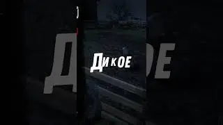 Что будет если скормить свинье свинью #rdr2 #shorts