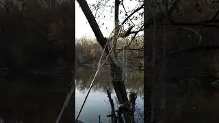рыбалка в кайф