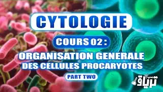 #CYTOLOGIE 1ère année - Organisation Générale de la Cellule Procaryote : Partie 2