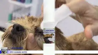 Artero Eye Tear Cleanser