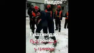 пилдони миёна 🦅⛰ 2021  хизрдин палвон