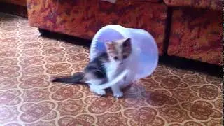 IMG 4766