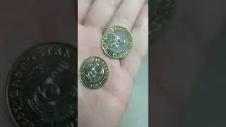Expensive coins, Saka style, Winged leopard