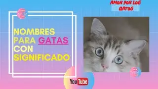 Names for female cats and their meaning.