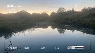Осенний мормышинг в городской канаве