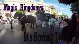 It's Spring Time with the Jolly Trolley Celebration Dancers Magic Kingdom