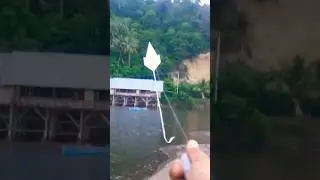 Cara Membuat Layangan Kertas