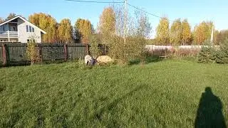 8 октября 2021 г.