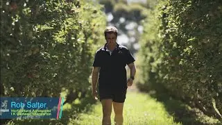 Vayego® Insecticide for Apples and Pears | 2:29