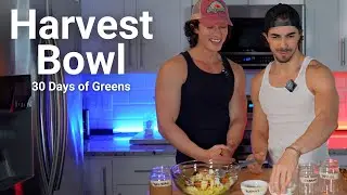 Drs Greens - Day 3 - Harvest Bowl