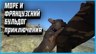 НЕУГМОННАЯ БУЛЬДОЖИНА НА МОРЕ