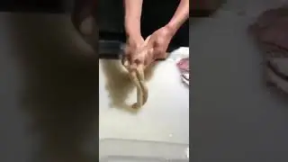 ЧТО ЭТО ТАКОЕ ? Я НЕ ЗНАЮ