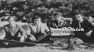 Augustin Ukaj  -  Lulzoj fusha dushkoj pylli
