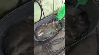 А как проводите вы свои выходные ??? #shorts #2022 #нарезки #рыбалка