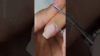 Alina Pocket Bit