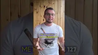 Тупость и теория заговора