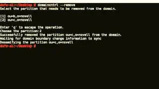 How to remove a partition from the DSfW domain