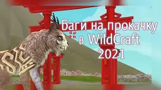 5 багов на прокачку в вайлд крафт(извините за ошибки)🙀 2021