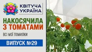 Томати на підвіконні. Мої помилки у вирощуванні.