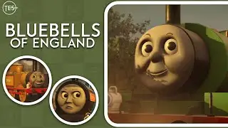 Bluebells Of England
