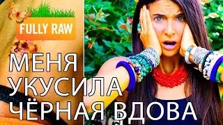 Как я перенесла укус ЯДОВИТОГО паука на сыроедении? Было СТРАШНО!
