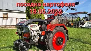 Посадка картофеля, мотоблоком мотор сич, под плуг. 18.05.22