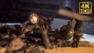 What happens if you catch Dani or Don't Catch any ledge during the Fall