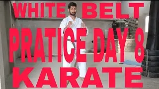 KARATE WHITE BELT PRACTICE DAY 8