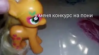 Конкурс на пони (чит описания)